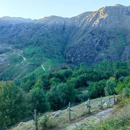 Vale 7lagoas