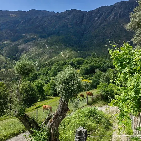 Villa Vale 7lagoas *