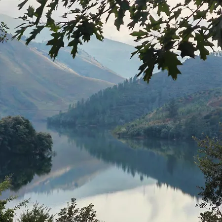 Vale 7lagoas