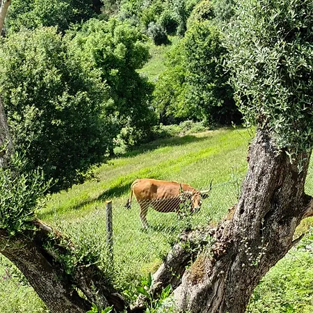 Vale 7lagoas * Geres