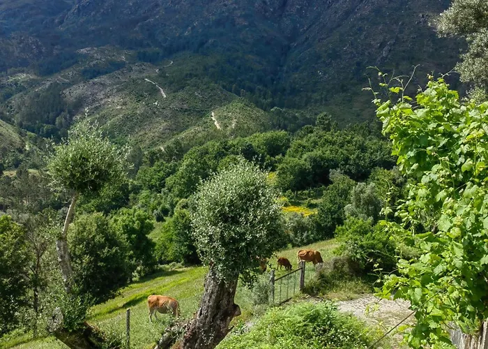 Villa Vale 7lagoas *