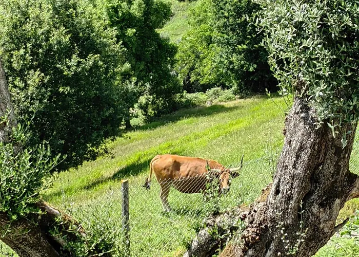 Vale 7lagoas * Geres